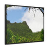Rainforest Trails & Views - Gallery Canvas Wraps, Horizontal Frame - El Yunque National Forest - Puerto Rico - Side view of Three Peaks in recovery - Green Forest Home
