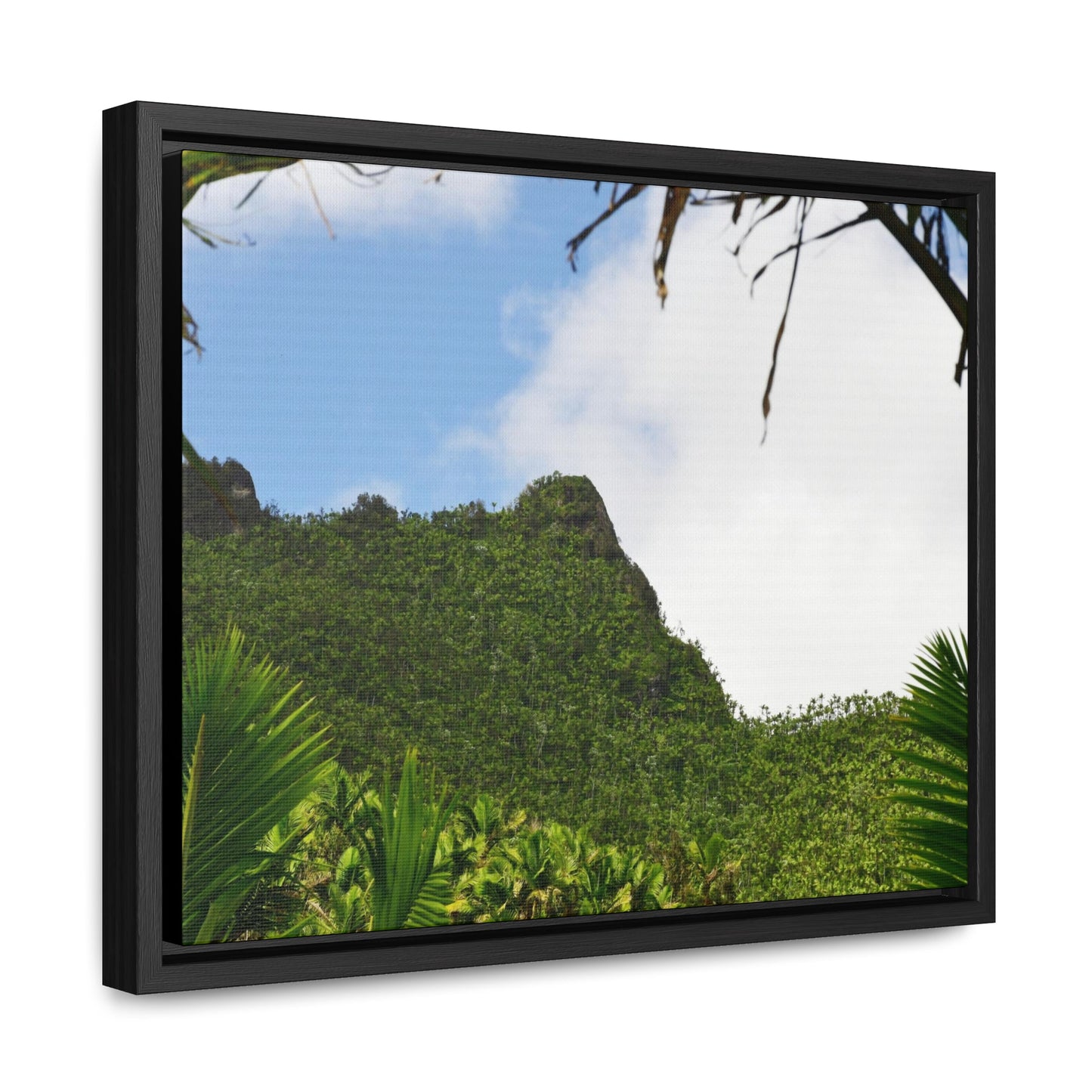Rainforest Trails & Views - Gallery Canvas Wraps, Horizontal Frame - El Yunque National Forest - Puerto Rico - Side view of Three Peaks in recovery - Green Forest Home