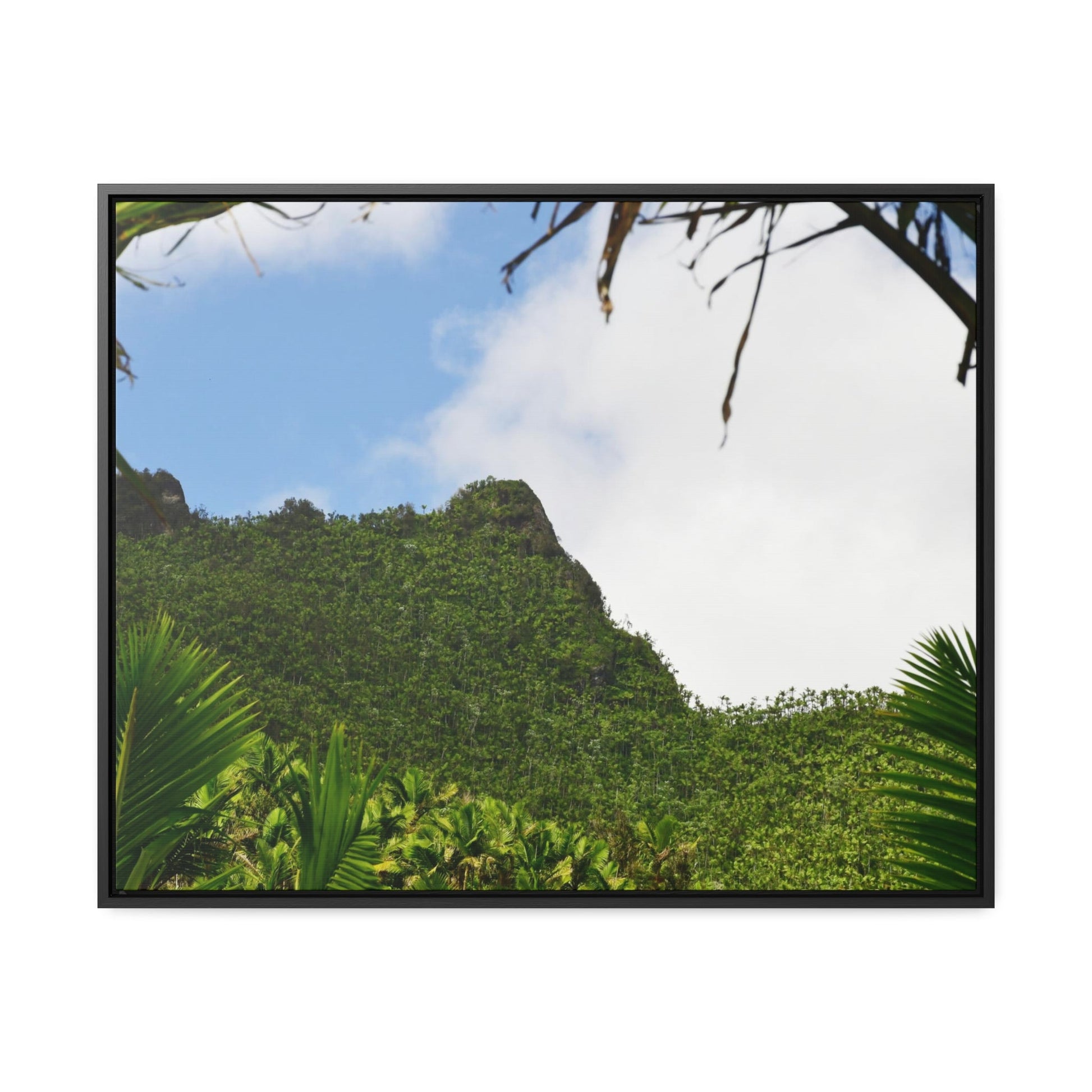 Rainforest Trails & Views - Gallery Canvas Wraps, Horizontal Frame - El Yunque National Forest - Puerto Rico - Side view of Three Peaks in recovery - Green Forest Home