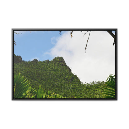 Rainforest Trails & Views - Gallery Canvas Wraps, Horizontal Frame - El Yunque National Forest - Puerto Rico - Side view of Three Peaks in recovery - Green Forest Home