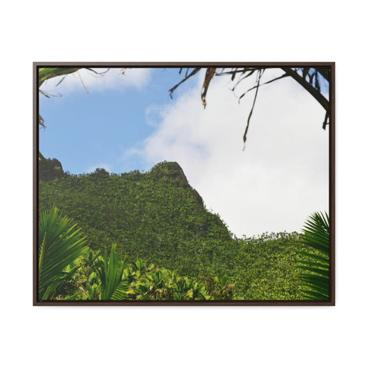 Rainforest Trails & Views - Gallery Canvas Wraps, Horizontal Frame - El Yunque National Forest - Puerto Rico - Side view of Three Peaks in recovery - Green Forest Home