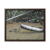 Rainforest Trails & Views - Gallery Canvas Wraps, Horizontal Frame - El Yunque National Forest - Puerto Rico - Sierra Palm buried in the sand - Rio Sabana river - Green Forest Home