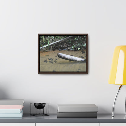 Rainforest Trails & Views - Gallery Canvas Wraps, Horizontal Frame - El Yunque National Forest - Puerto Rico - Sierra Palm buried in the sand - Rio Sabana river - Green Forest Home