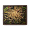 Rainforest Trails & Views - Gallery Canvas Wraps, Horizontal Frame - El Yunque National Forest - Puerto Rico - Starlike seeds of the Sierra Palm - Green Forest Home
