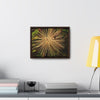 Rainforest Trails & Views - Gallery Canvas Wraps, Horizontal Frame - El Yunque National Forest - Puerto Rico - Starlike seeds of the Sierra Palm - Green Forest Home