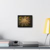 Rainforest Trails & Views - Gallery Canvas Wraps, Horizontal Frame - El Yunque National Forest - Puerto Rico - Starlike seeds of the Sierra Palm - Green Forest Home