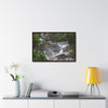 Rainforest Trails & Views - Gallery Canvas Wraps, Horizontal Frame - El Yunque National Forest - Puerto Rico - Steep Icacos River - water flows to the nearby towns drinking water - Green Forest Home