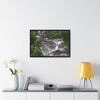 Rainforest Trails & Views - Gallery Canvas Wraps, Horizontal Frame - El Yunque National Forest - Puerto Rico - Steep Icacos River - water flows to the nearby towns drinking water - Green Forest Home