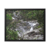 Rainforest Trails & Views - Gallery Canvas Wraps, Horizontal Frame - El Yunque National Forest - Puerto Rico - Steep Icacos River - water flows to the nearby towns drinking water - Green Forest Home