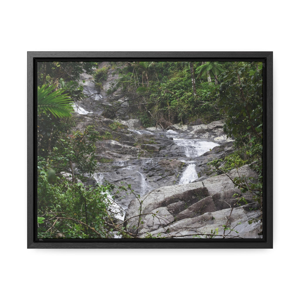 Rainforest Trails & Views - Gallery Canvas Wraps, Horizontal Frame - El Yunque National Forest - Puerto Rico - Steep Icacos River - water flows to the nearby towns drinking water - Green Forest Home