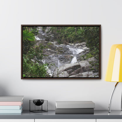 Rainforest Trails & Views - Gallery Canvas Wraps, Horizontal Frame - El Yunque National Forest - Puerto Rico - Steep Icacos River - water flows to the nearby towns drinking water - Green Forest Home