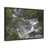 Rainforest Trails & Views - Gallery Canvas Wraps, Horizontal Frame - El Yunque National Forest - Puerto Rico - Steep Icacos River - water flows to the nearby towns drinking water - Green Forest Home