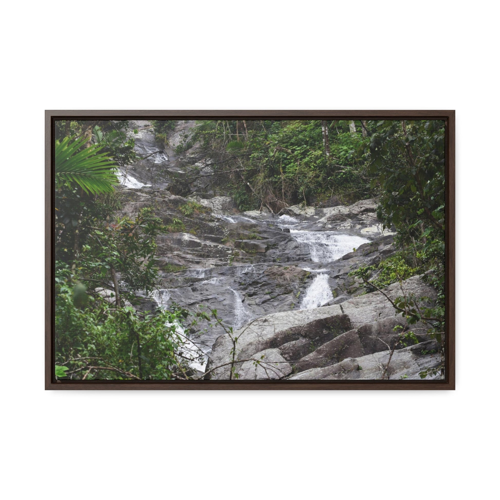 Rainforest Trails & Views - Gallery Canvas Wraps, Horizontal Frame - El Yunque National Forest - Puerto Rico - Steep Icacos River - water flows to the nearby towns drinking water - Green Forest Home