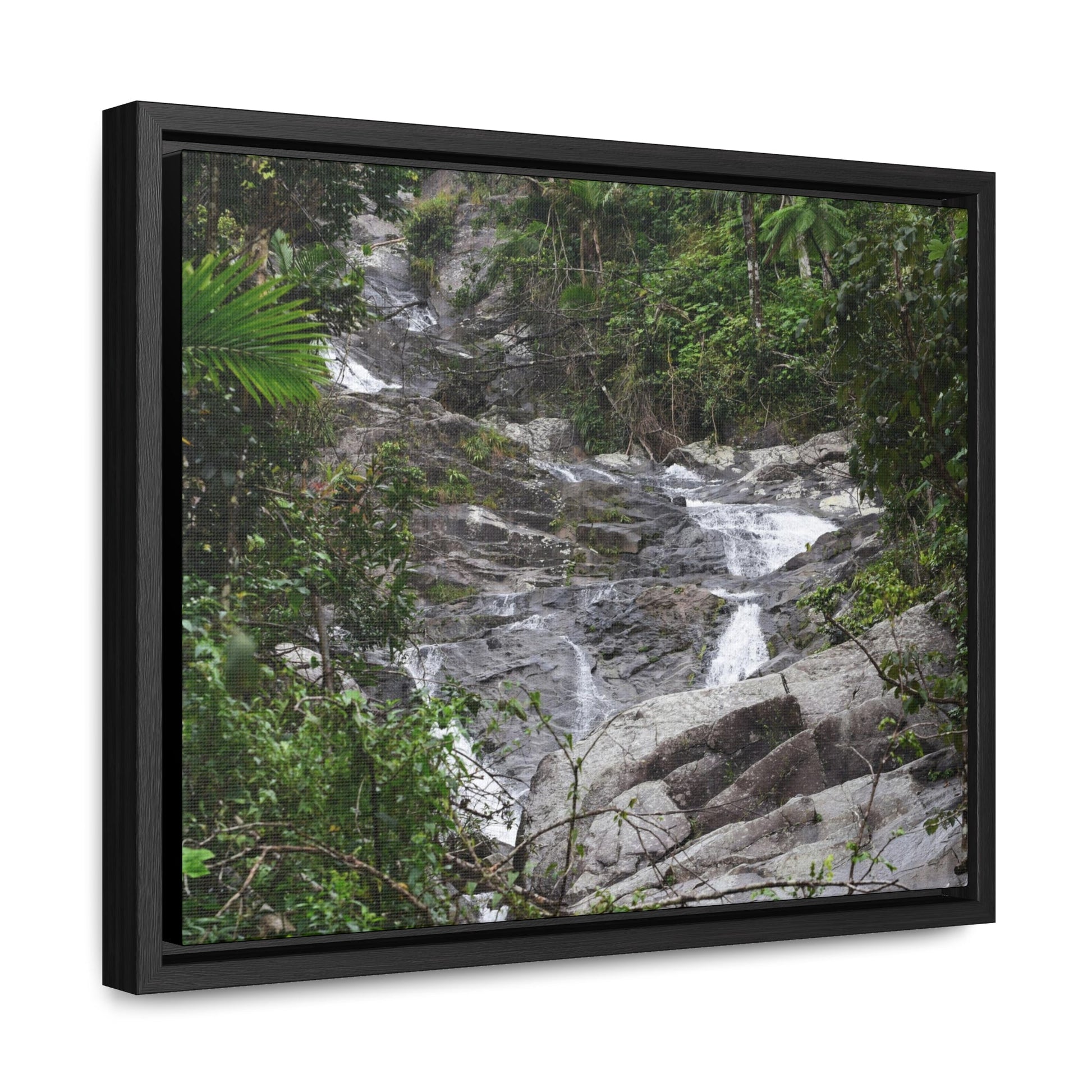 Rainforest Trails & Views - Gallery Canvas Wraps, Horizontal Frame - El Yunque National Forest - Puerto Rico - Steep Icacos River - water flows to the nearby towns drinking water - Green Forest Home