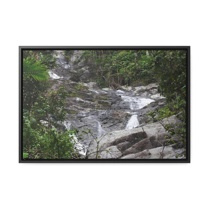 Rainforest Trails & Views - Gallery Canvas Wraps, Horizontal Frame - El Yunque National Forest - Puerto Rico - Steep Icacos River - water flows to the nearby towns drinking water - Green Forest Home