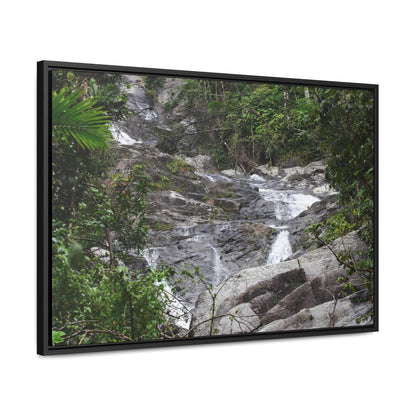 Rainforest Trails & Views - Gallery Canvas Wraps, Horizontal Frame - El Yunque National Forest - Puerto Rico - Steep Icacos River - water flows to the nearby towns drinking water - Green Forest Home