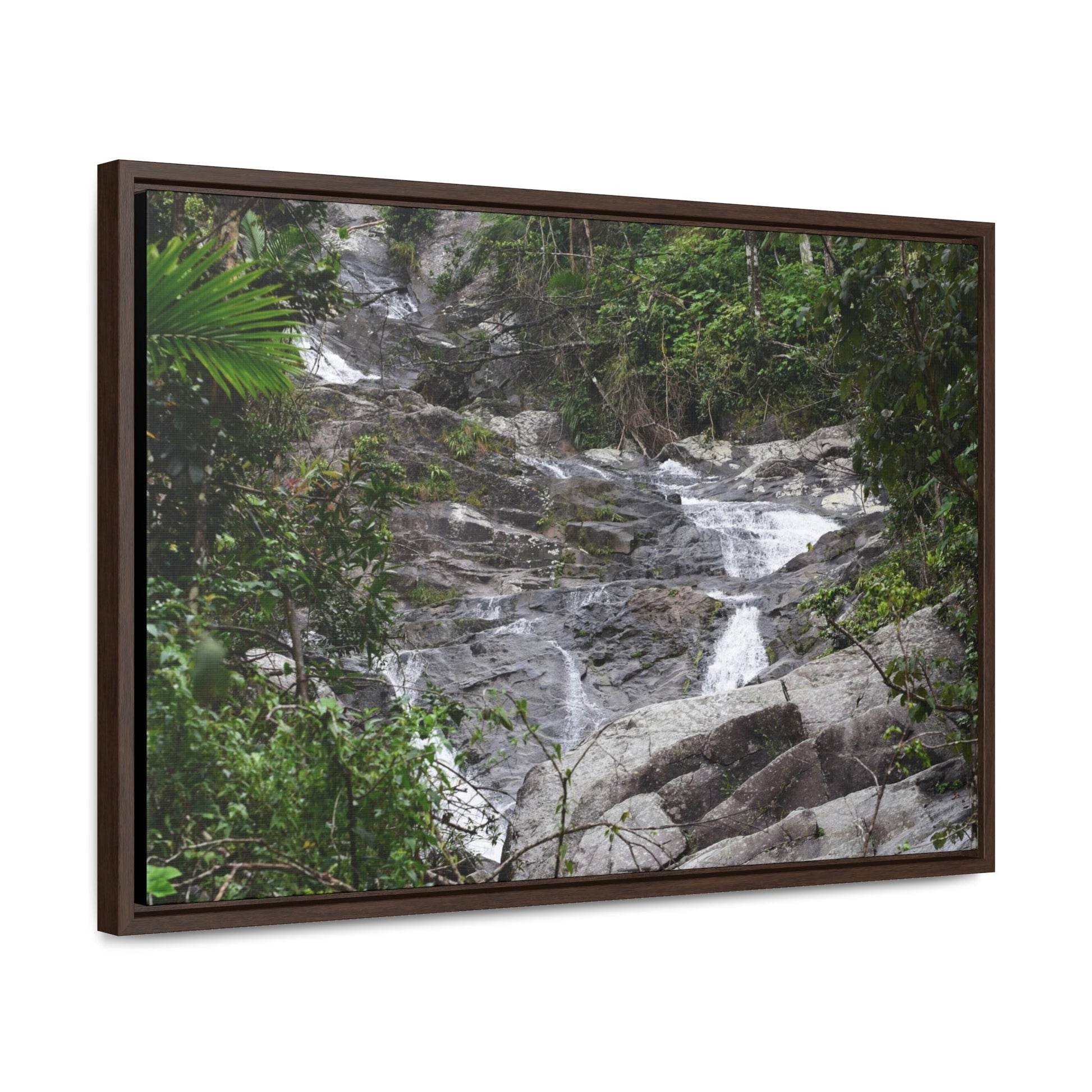 Rainforest Trails & Views - Gallery Canvas Wraps, Horizontal Frame - El Yunque National Forest - Puerto Rico - Steep Icacos River - water flows to the nearby towns drinking water - Green Forest Home