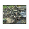 Rainforest Trails & Views - Gallery Canvas Wraps, Horizontal Frame - El Yunque National Forest - Puerto Rico - Tangle due to flodding the Rio Sabana river - Green Forest Home