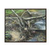 Rainforest Trails & Views - Gallery Canvas Wraps, Horizontal Frame - El Yunque National Forest - Puerto Rico - Tangle due to flodding the Rio Sabana river - Green Forest Home