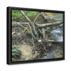 Rainforest Trails & Views - Gallery Canvas Wraps, Horizontal Frame - El Yunque National Forest - Puerto Rico - Tangle due to flodding the Rio Sabana river - Green Forest Home