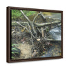 Rainforest Trails & Views - Gallery Canvas Wraps, Horizontal Frame - El Yunque National Forest - Puerto Rico - Tangle due to flodding the Rio Sabana river - Green Forest Home