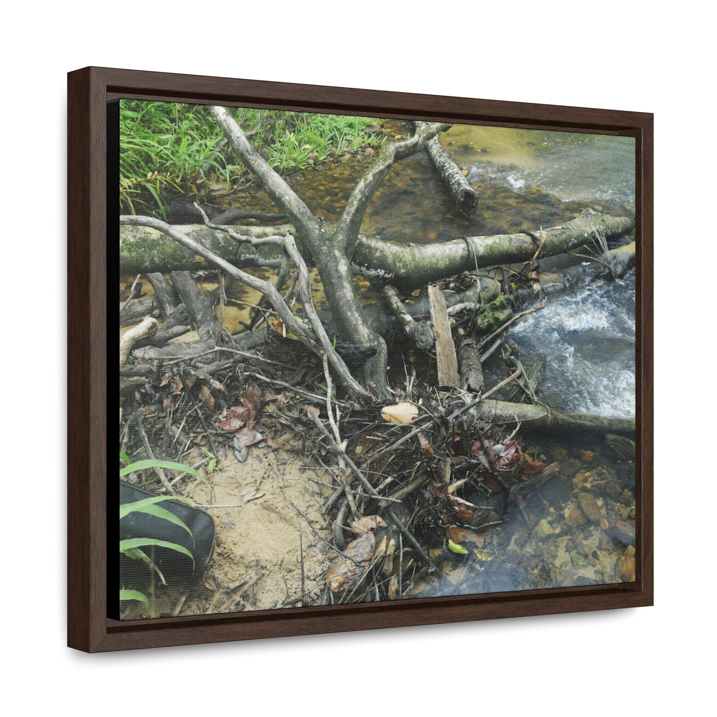 Rainforest Trails & Views - Gallery Canvas Wraps, Horizontal Frame - El Yunque National Forest - Puerto Rico - Tangle due to flodding the Rio Sabana river - Green Forest Home