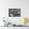 Rainforest Trails & Views - Gallery Canvas Wraps, Horizontal Frame - El Yunque National Forest - Puerto Rico - Tangle due to flodding the Rio Sabana river - Green Forest Home