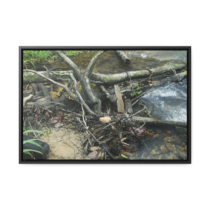 Rainforest Trails & Views - Gallery Canvas Wraps, Horizontal Frame - El Yunque National Forest - Puerto Rico - Tangle due to flodding the Rio Sabana river - Green Forest Home