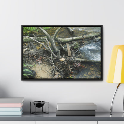 Rainforest Trails & Views - Gallery Canvas Wraps, Horizontal Frame - El Yunque National Forest - Puerto Rico - Tangle due to flodding the Rio Sabana river - Green Forest Home