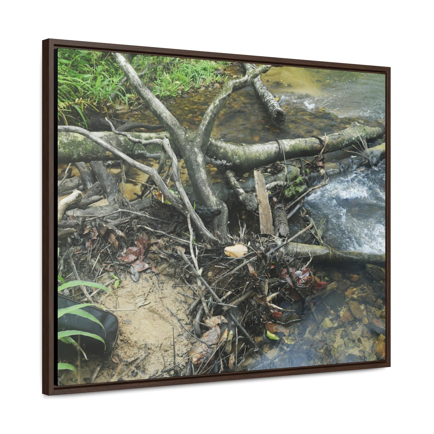 Rainforest Trails & Views - Gallery Canvas Wraps, Horizontal Frame - El Yunque National Forest - Puerto Rico - Tangle due to flodding the Rio Sabana river - Green Forest Home