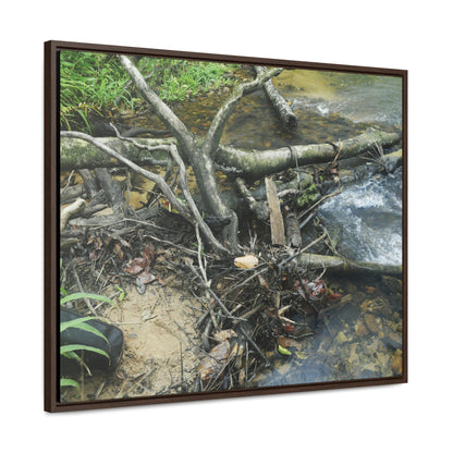 Rainforest Trails & Views - Gallery Canvas Wraps, Horizontal Frame - El Yunque National Forest - Puerto Rico - Tangle due to flodding the Rio Sabana river - Green Forest Home