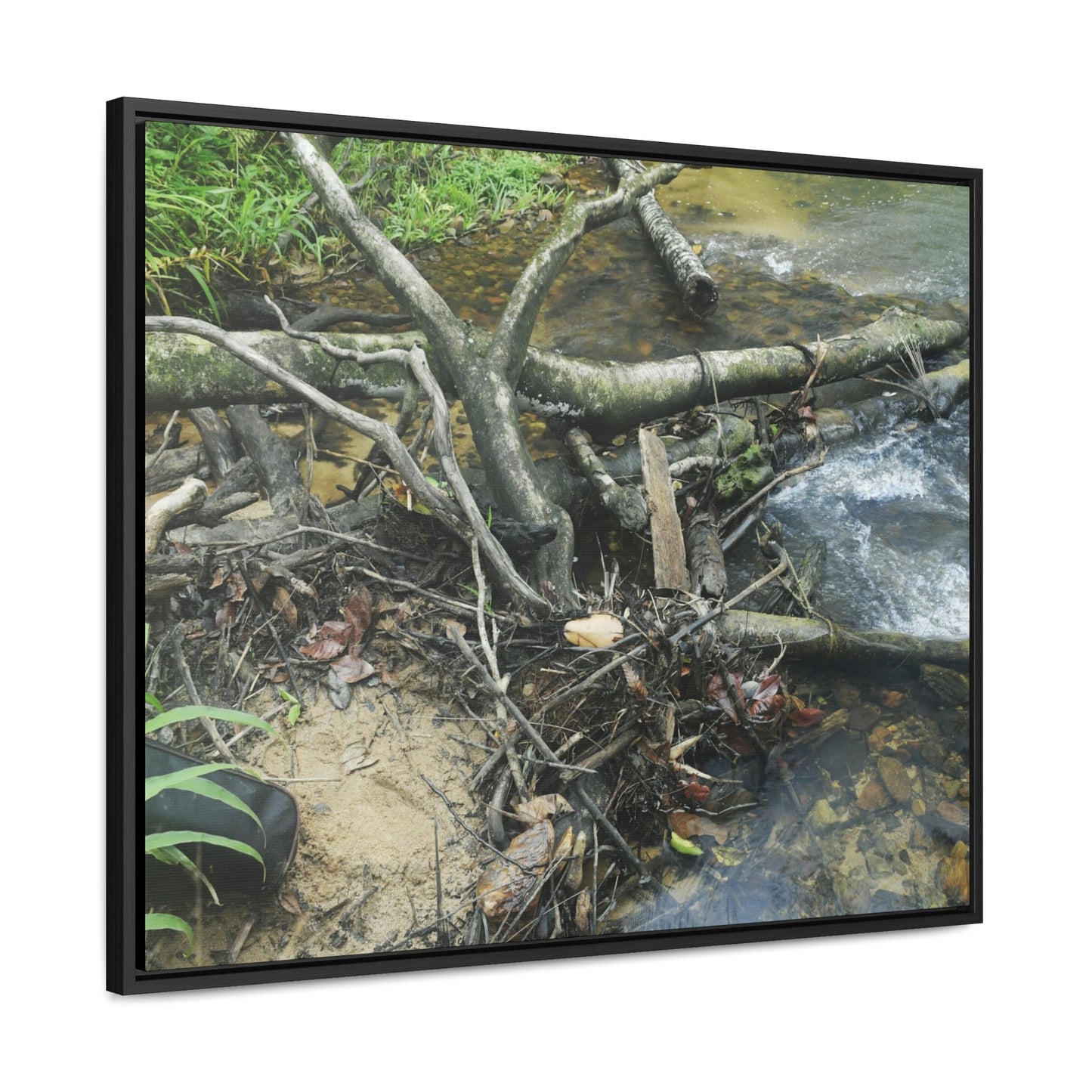 Rainforest Trails & Views - Gallery Canvas Wraps, Horizontal Frame - El Yunque National Forest - Puerto Rico - Tangle due to flodding the Rio Sabana river - Green Forest Home