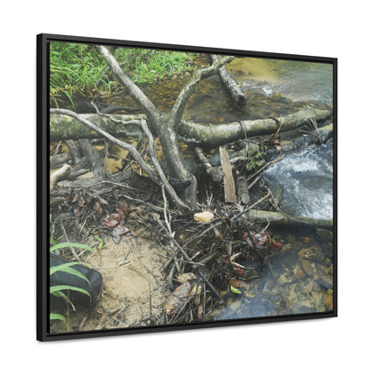 Rainforest Trails & Views - Gallery Canvas Wraps, Horizontal Frame - El Yunque National Forest - Puerto Rico - Tangle due to flodding the Rio Sabana river - Green Forest Home