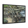 Rainforest Trails & Views - Gallery Canvas Wraps, Horizontal Frame - El Yunque National Forest - Puerto Rico - Tangle due to flodding the Rio Sabana river - Green Forest Home