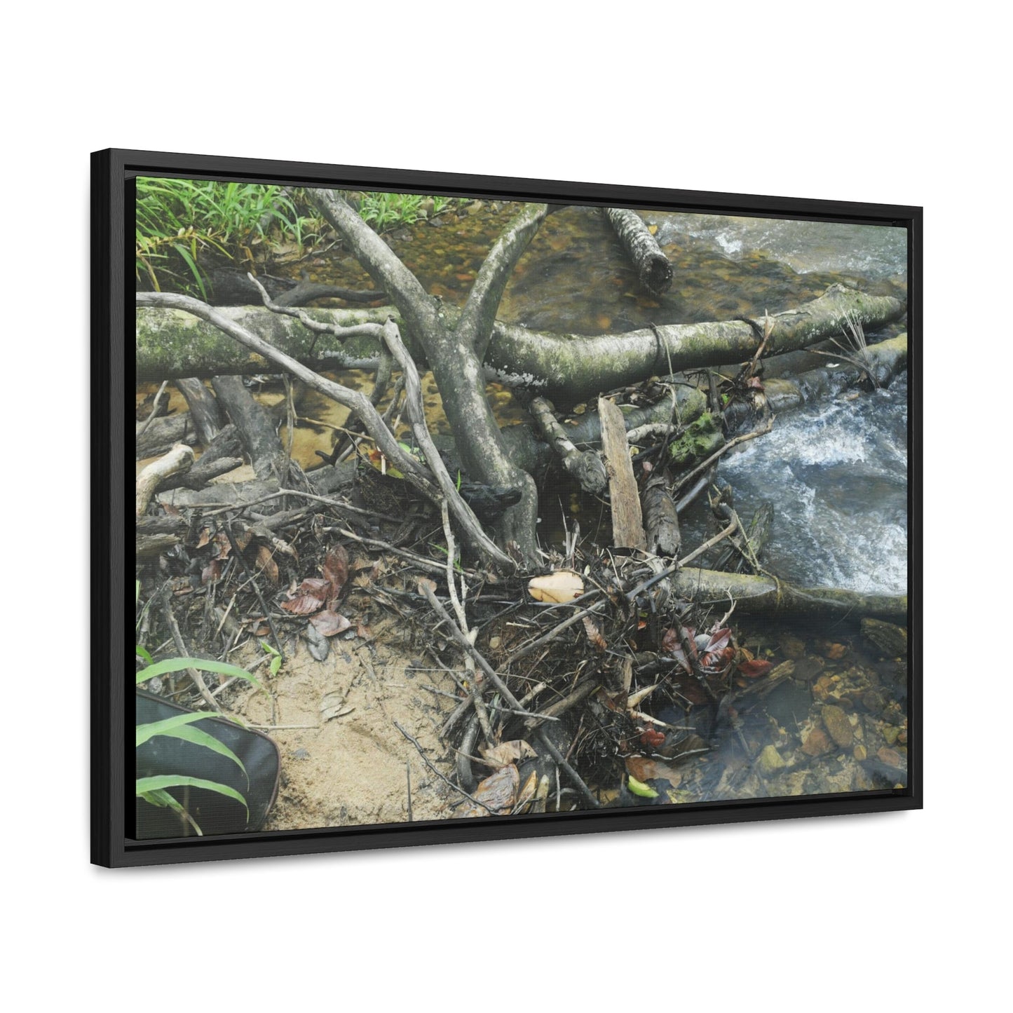 Rainforest Trails & Views - Gallery Canvas Wraps, Horizontal Frame - El Yunque National Forest - Puerto Rico - Tangle due to flodding the Rio Sabana river - Green Forest Home