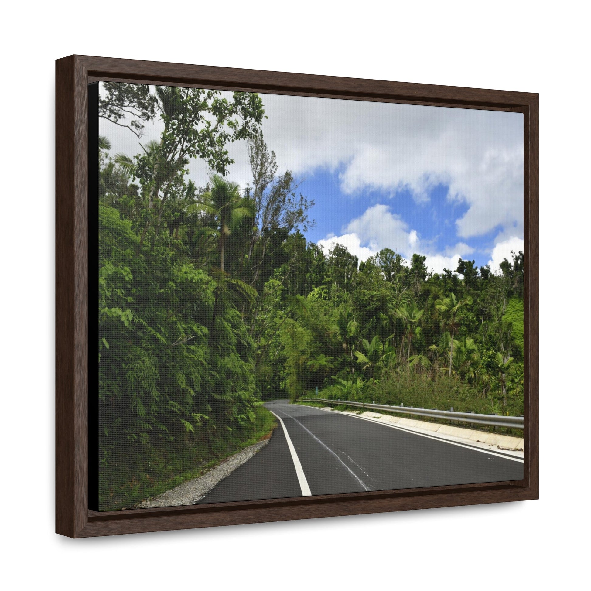 Rainforest Trails & Views - Gallery Canvas Wraps, Horizontal Frame - El Yunque National Forest - Puerto Rico - The amazing road into El Yunque (north) PR 191 - Green Forest Home