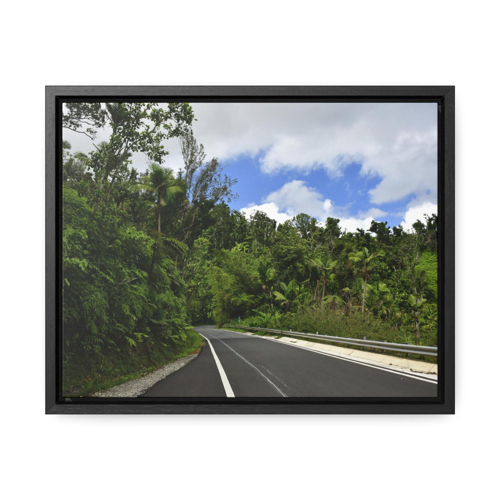 Rainforest Trails & Views - Gallery Canvas Wraps, Horizontal Frame - El Yunque National Forest - Puerto Rico - The amazing road into El Yunque (north) PR 191 - Green Forest Home