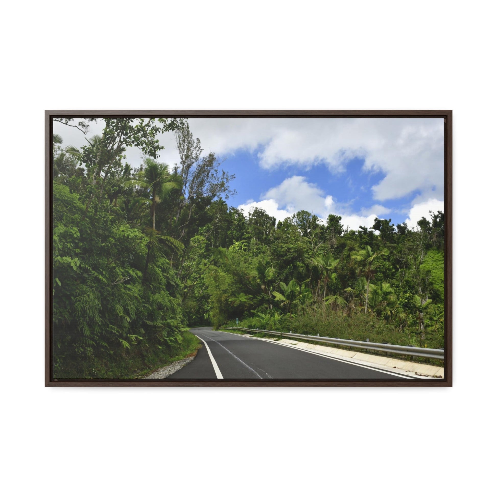 Rainforest Trails & Views - Gallery Canvas Wraps, Horizontal Frame - El Yunque National Forest - Puerto Rico - The amazing road into El Yunque (north) PR 191 - Green Forest Home