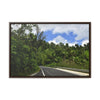 Rainforest Trails & Views - Gallery Canvas Wraps, Horizontal Frame - El Yunque National Forest - Puerto Rico - The amazing road into El Yunque (north) PR 191 - Green Forest Home