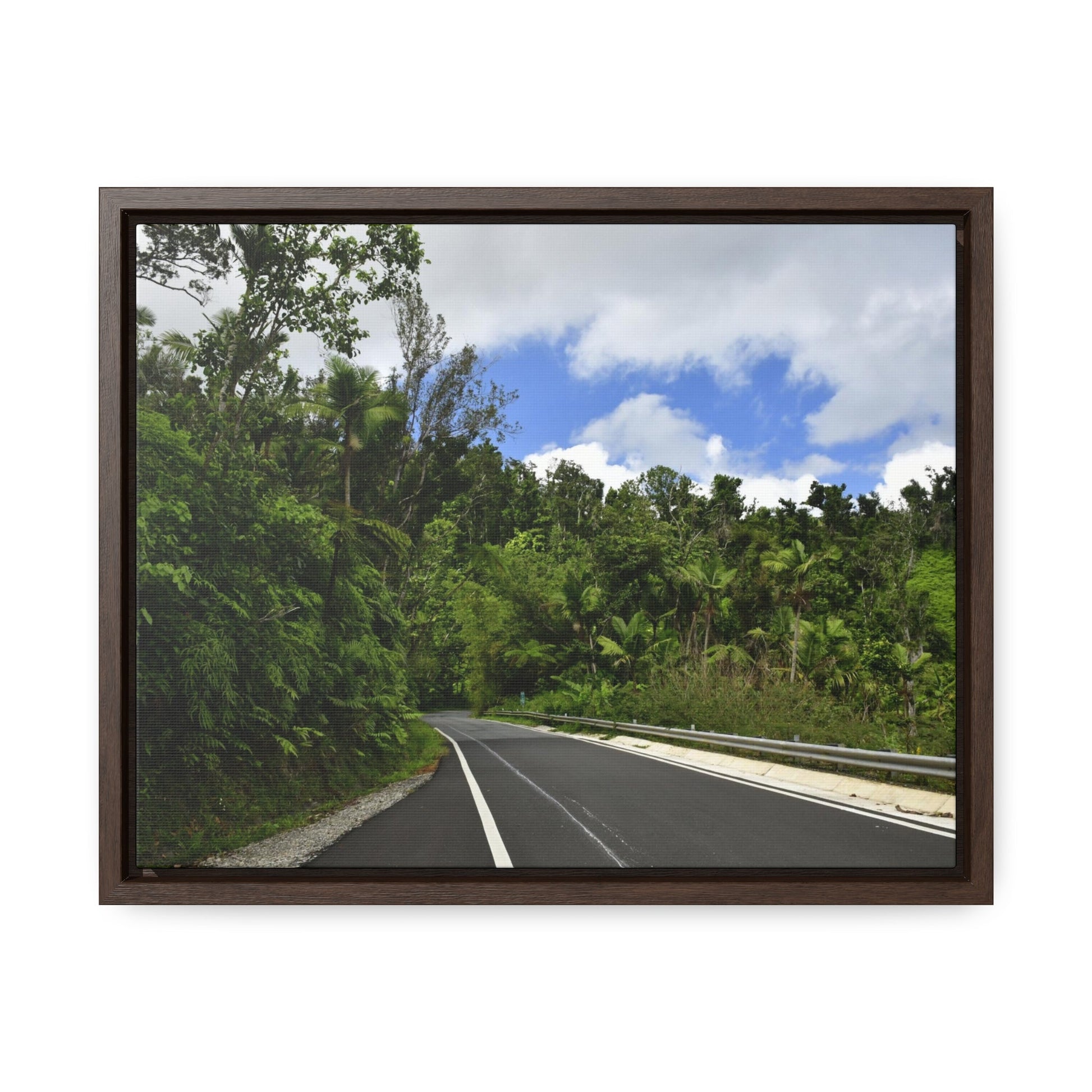Rainforest Trails & Views - Gallery Canvas Wraps, Horizontal Frame - El Yunque National Forest - Puerto Rico - The amazing road into El Yunque (north) PR 191 - Green Forest Home