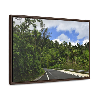 Rainforest Trails & Views - Gallery Canvas Wraps, Horizontal Frame - El Yunque National Forest - Puerto Rico - The amazing road into El Yunque (north) PR 191 - Green Forest Home