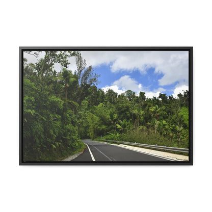 Rainforest Trails & Views - Gallery Canvas Wraps, Horizontal Frame - El Yunque National Forest - Puerto Rico - The amazing road into El Yunque (north) PR 191 - Green Forest Home