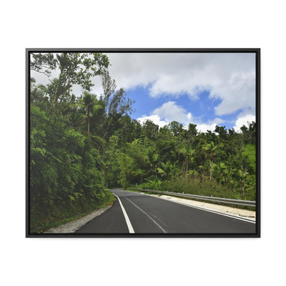 Rainforest Trails & Views - Gallery Canvas Wraps, Horizontal Frame - El Yunque National Forest - Puerto Rico - The amazing road into El Yunque (north) PR 191 - Green Forest Home