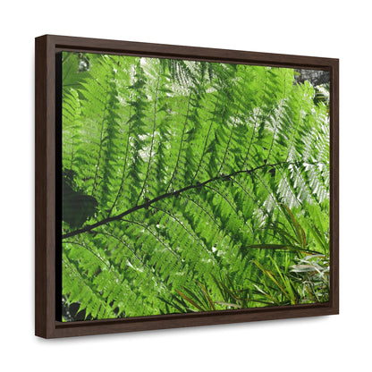 Rainforest Trails & Views - Gallery Canvas Wraps, Horizontal Frame - El Yunque National Forest - Puerto Rico - The ancient Fern Palm - Green Forest Home