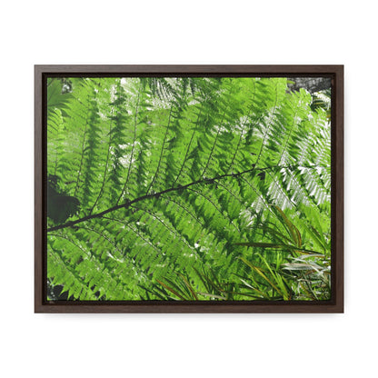 Rainforest Trails & Views - Gallery Canvas Wraps, Horizontal Frame - El Yunque National Forest - Puerto Rico - The ancient Fern Palm - Green Forest Home