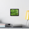 Rainforest Trails & Views - Gallery Canvas Wraps, Horizontal Frame - El Yunque National Forest - Puerto Rico - The ancient Fern Palm - Green Forest Home