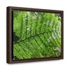Rainforest Trails & Views - Gallery Canvas Wraps, Horizontal Frame - El Yunque National Forest - Puerto Rico - The ancient Fern Palm - Green Forest Home
