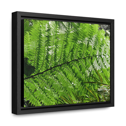 Rainforest Trails & Views - Gallery Canvas Wraps, Horizontal Frame - El Yunque National Forest - Puerto Rico - The ancient Fern Palm - Green Forest Home