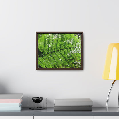 Rainforest Trails & Views - Gallery Canvas Wraps, Horizontal Frame - El Yunque National Forest - Puerto Rico - The ancient Fern Palm - Green Forest Home