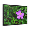 Rainforest Trails & Views - Gallery Canvas Wraps, Horizontal Frame - El Yunque National Forest - Puerto Rico - The beauty of a simple flower after the rain - Green Forest Home